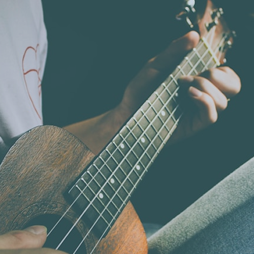 Zajęcia z gry na ukulele - Mateusz Wolniewicz